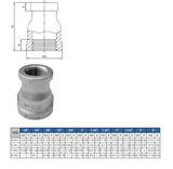 SS 150# ISO Threaded Reducing Coupling Pipe Fitting