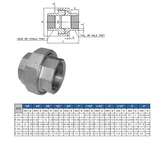 SS 150# ISO Threaded Union Pipe Fitting